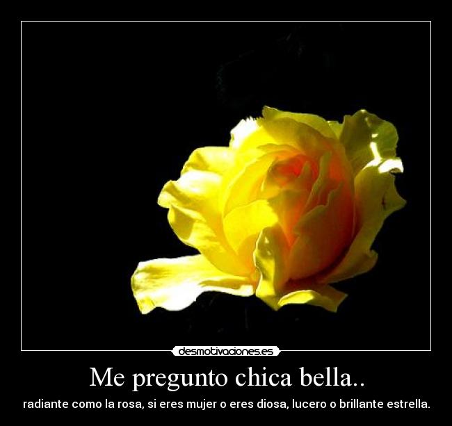 Me pregunto chica bella.. - radiante como la rosa, si eres mujer o eres diosa, lucero o brillante estrella.