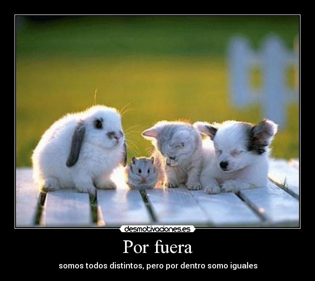 Por fuera - somos todos distintos, pero por dentro somo iguales