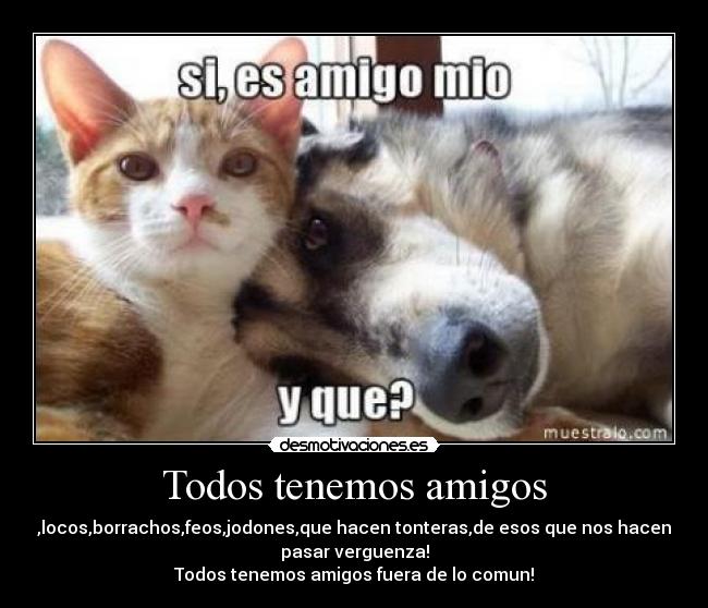 Todos tenemos amigos -
