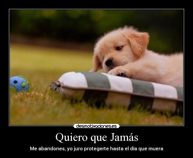 Quiero que Jamás - Me abandones, yo juro protegerte hasta el día que muera