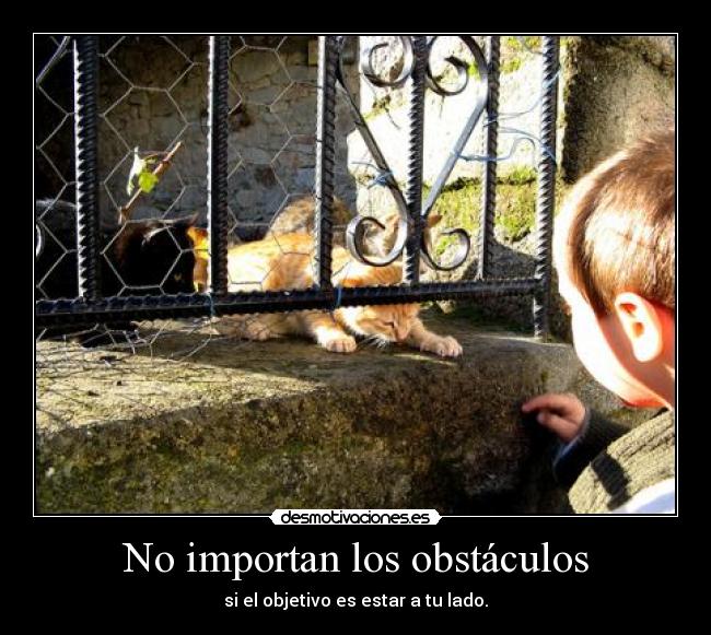 No importan los obstáculos -