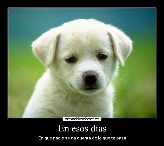 En esos días - En que nadie se da cuenta de lo que te pasa