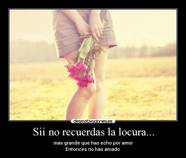 carteles locura locura amar entonses grande amor desmotivaciones