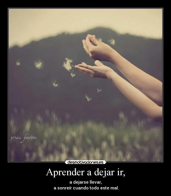 Aprender a dejar ir, - a dejarse llevar,
 a sonreír cuando todo este mal.