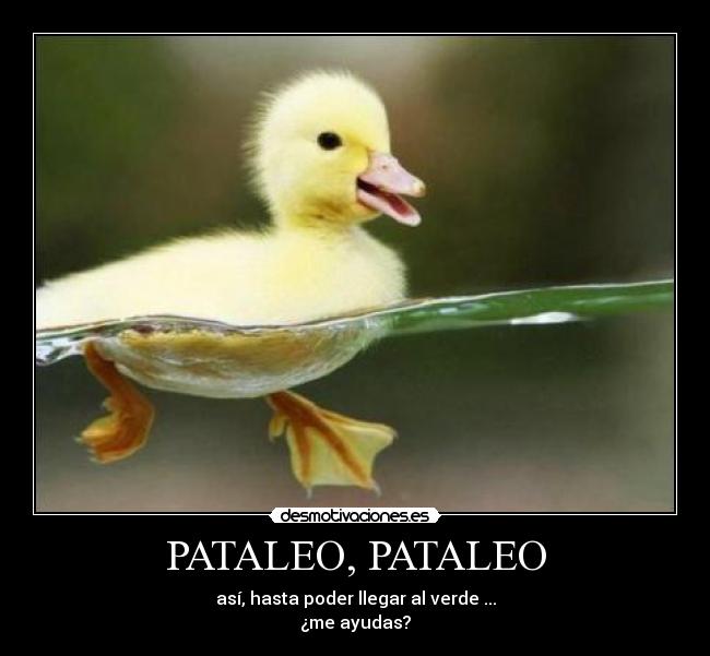 PATALEO, PATALEO - 