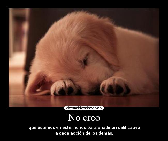 No creo -