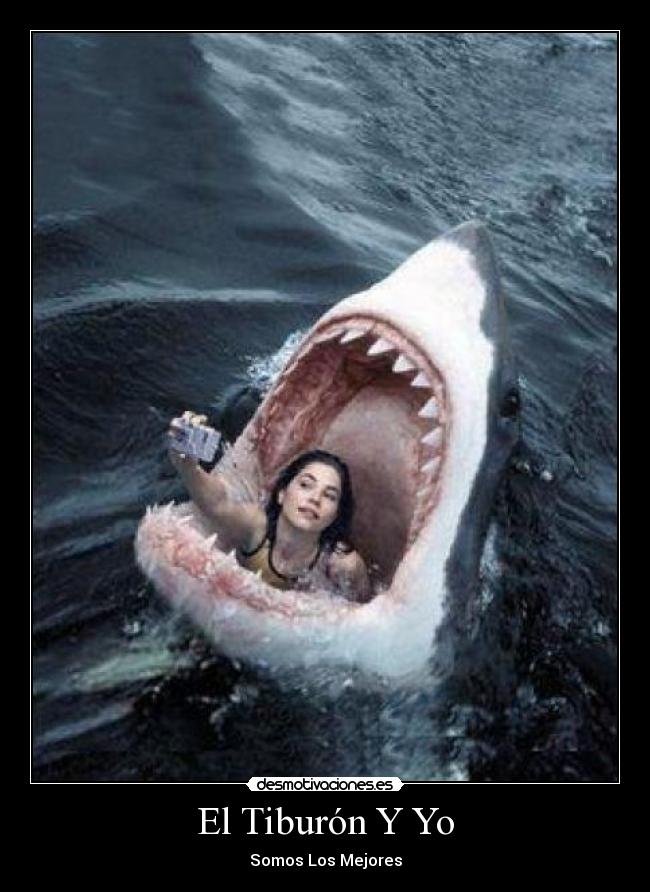 El Tiburón Y Yo -