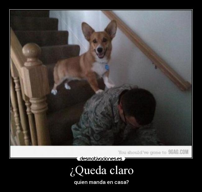 ¿Queda claro - quien manda en casa?