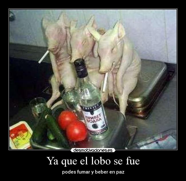 Ya que el lobo se fue - podes fumar y beber en paz