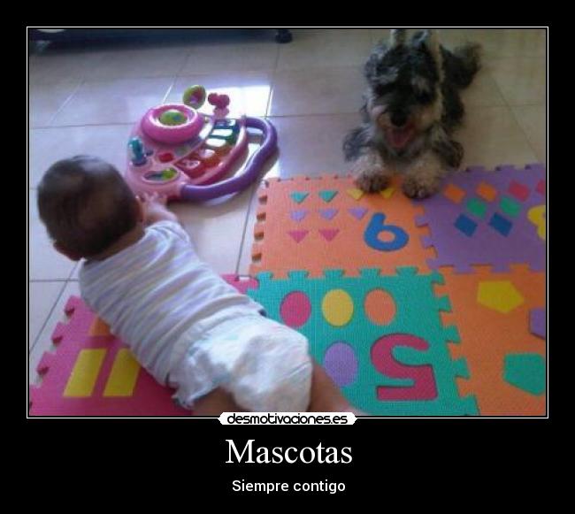 carteles mascotas desmotivaciones