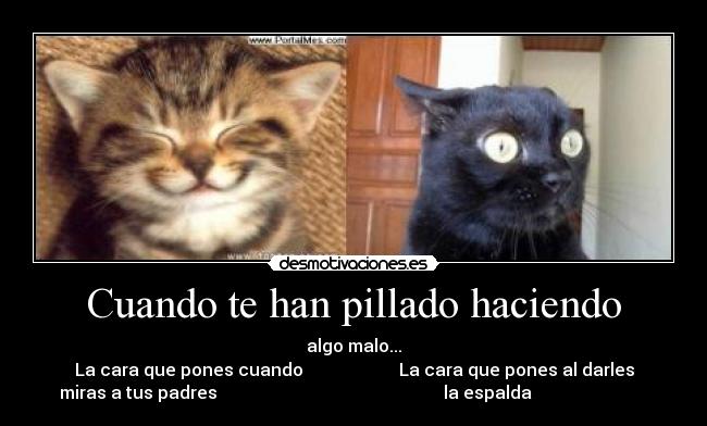 Cuando te han pillado haciendo -