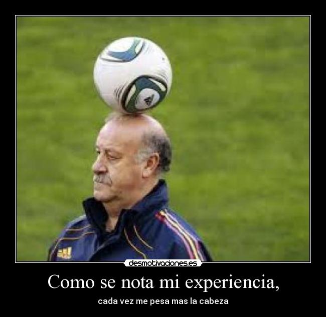 carteles del bosque desmotivaciones