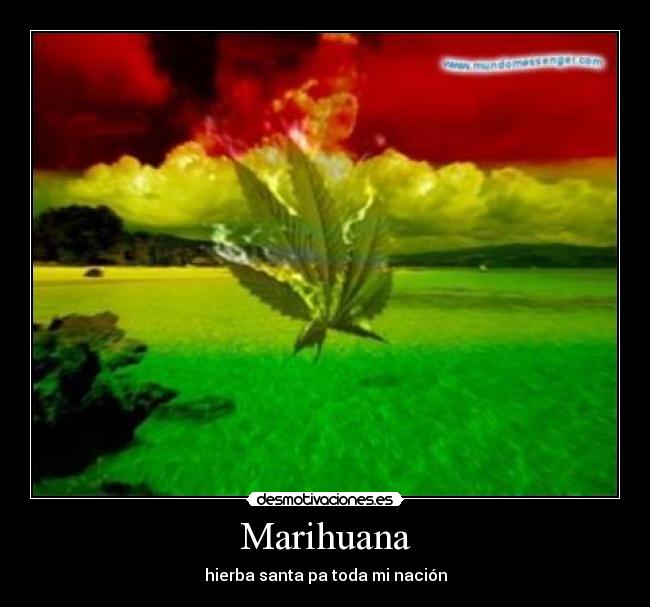 Marihuana -