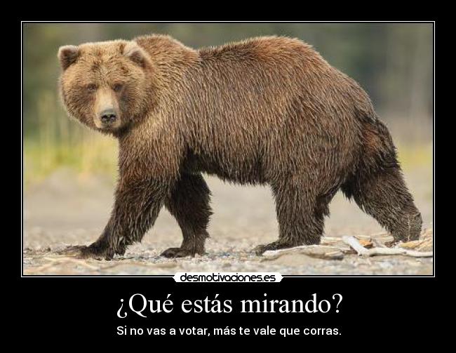 ¿Qué estás mirando? - Si no vas a votar, más te vale que corras.