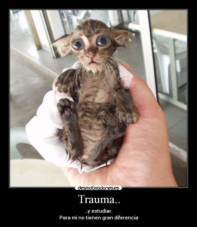 Trauma.. - ..y estudiar.
Para mi no tienen gran diferencia