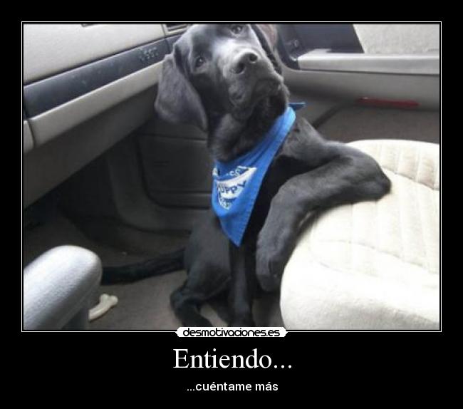 Entiendo... -