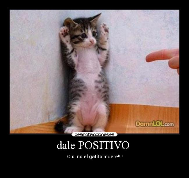 dale POSITIVO  - O si no el gatito muere!!!!

