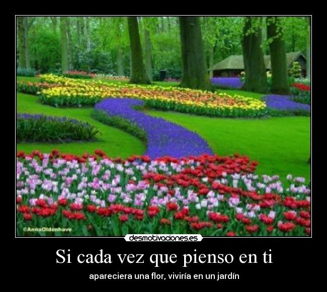Si cada vez que pienso en ti - apareciera una flor, viviría en un jardín
