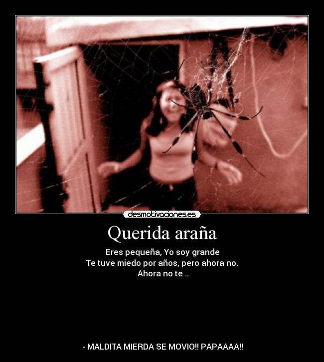 Querida araña -