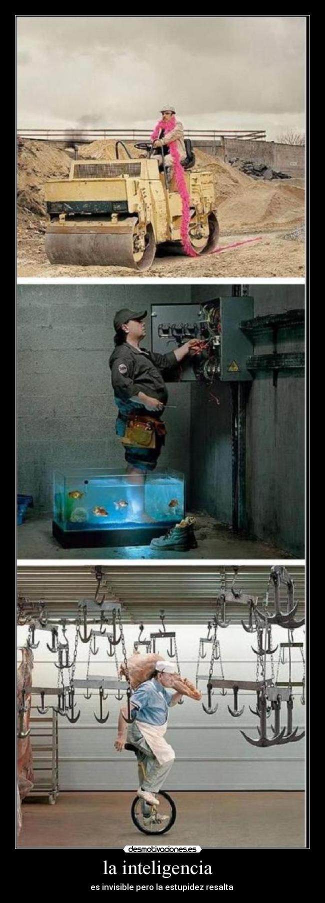 la inteligencia   - es invisible pero la estupidez resalta 