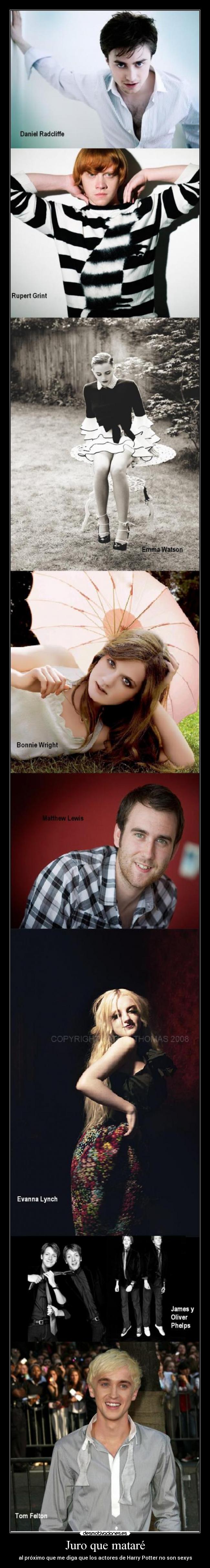 Juro que mataré - al próximo que me diga que los actores de Harry Potter no son sexys
