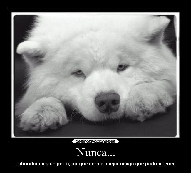 Nunca... -