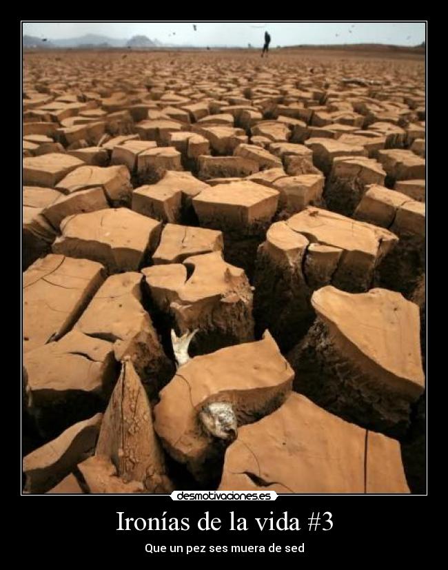 Ironías de la vida #3 -