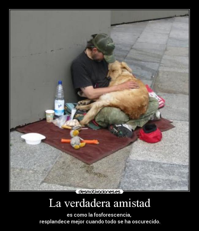 La verdadera amistad -