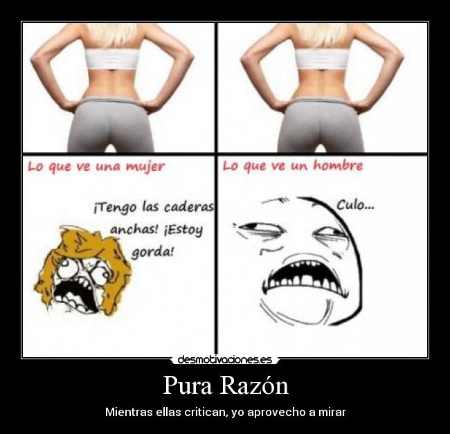 Pura Razón - Mientras ellas critican, yo aprovecho a mirar