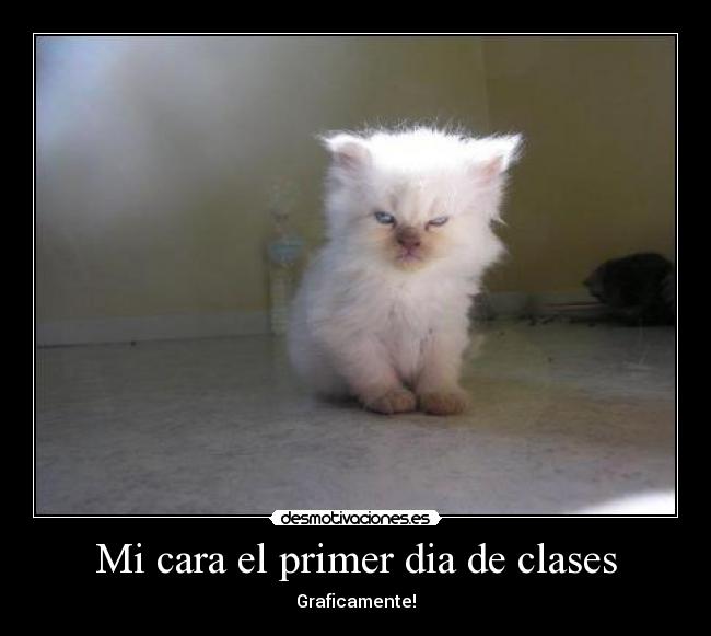 Mi cara el primer dia de clases - Graficamente!