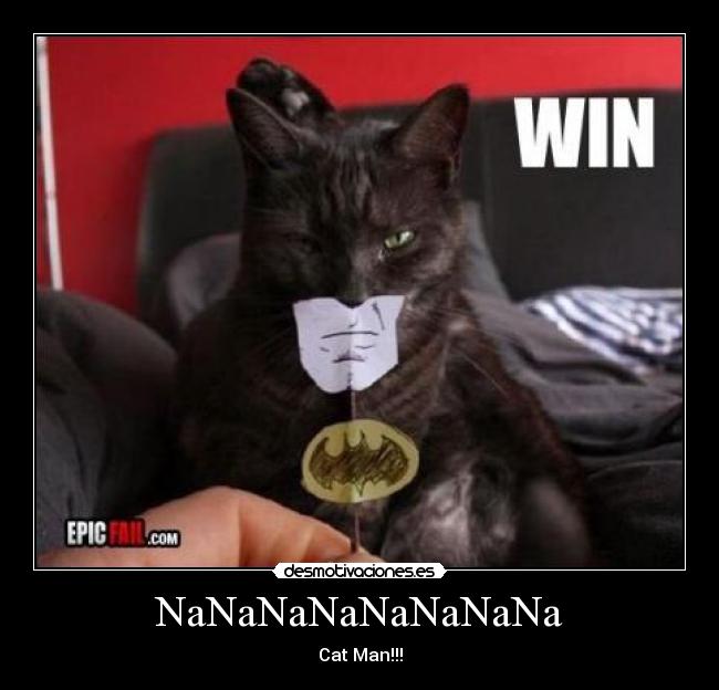 NaNaNaNaNaNaNaNa - Cat Man!!!