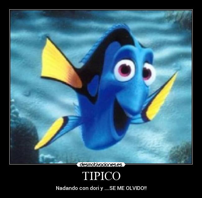 TIPICO - Nadando con dori y ....SE ME OLVIDO!!