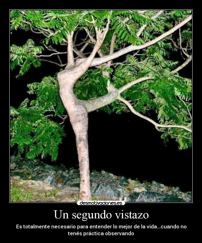 Un segundo vistazo - Es totalmente necesario para entender lo mejor de la vida...cuando no
tenés práctica observando