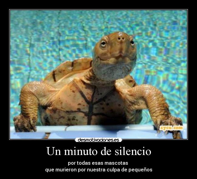 Un minuto de silencio -