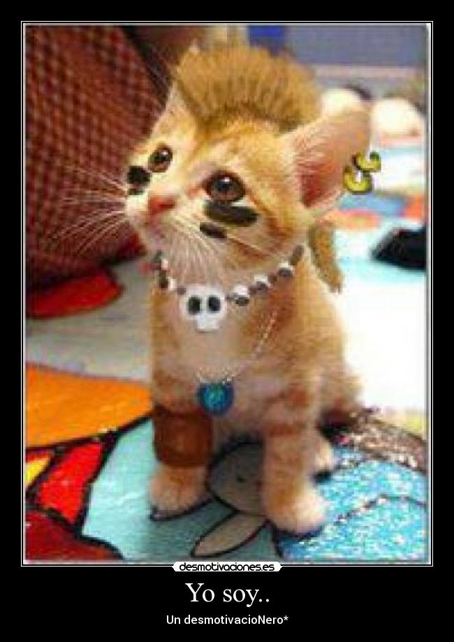 carteles xdddddddddddddddddddddddddddddddddddd desmotivaciones