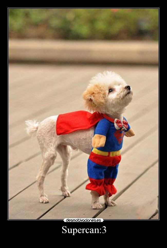 Supercan:3 -