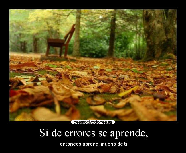 Si de errores se aprende, - entonces aprendi mucho de ti