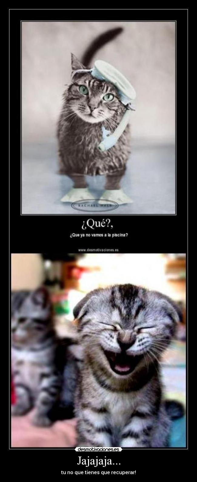Jajajaja... - tu no que tienes que recuperar!