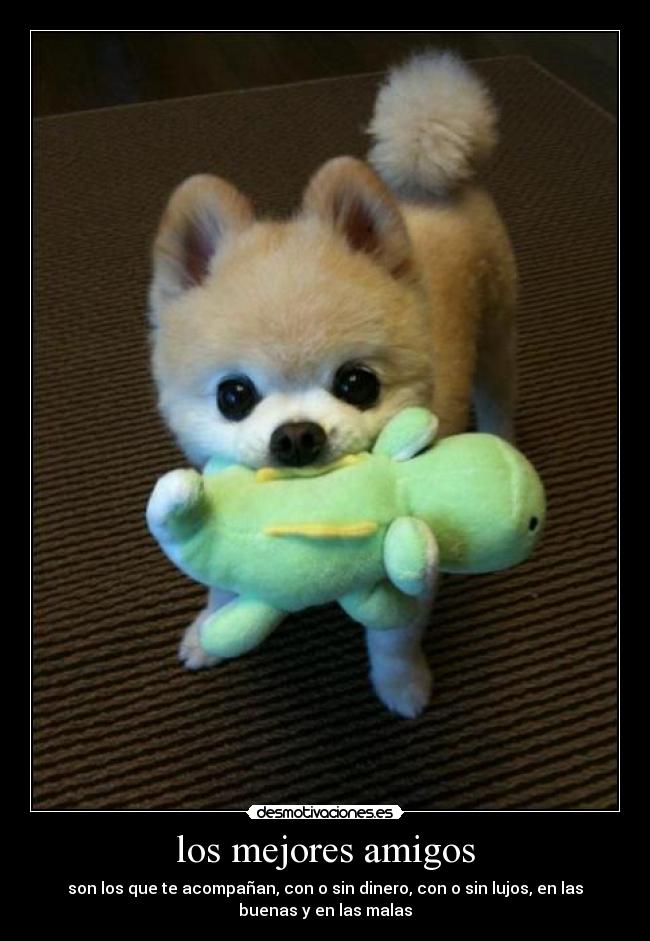 los mejores amigos -