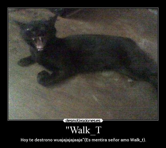 Walk_T - Hoy te destrono wuajajajajaaja(Es mentira señor amo Walk_t).