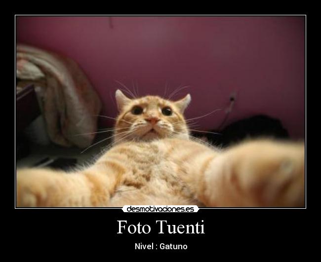 Foto Tuenti - 