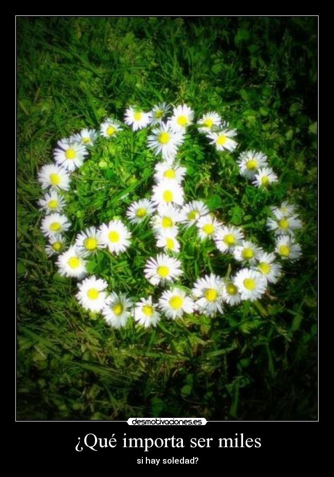 ¿Qué importa ser miles -