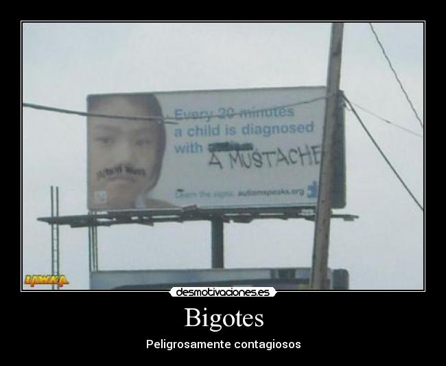 Bigotes -