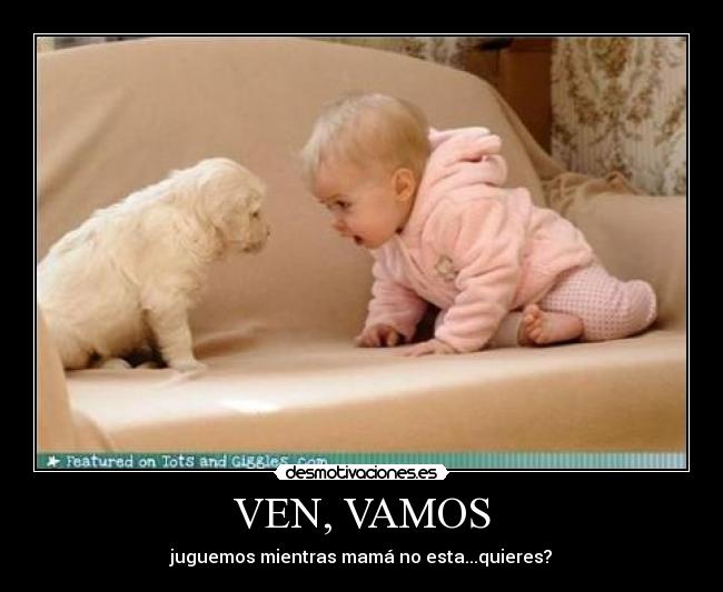 VEN, VAMOS -