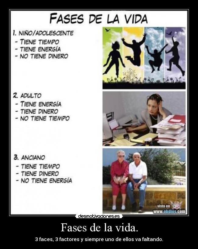 Fases de la vida. - 