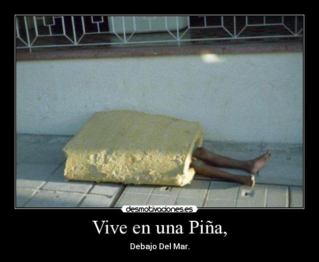 Vive en una Piña, - 