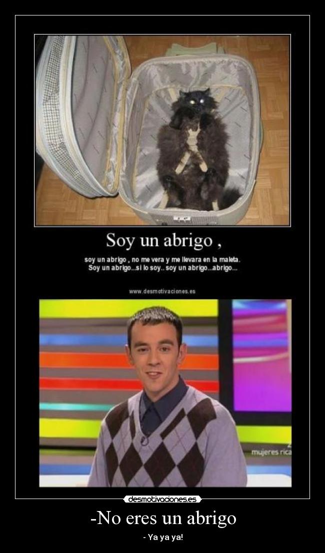 -No eres un abrigo -