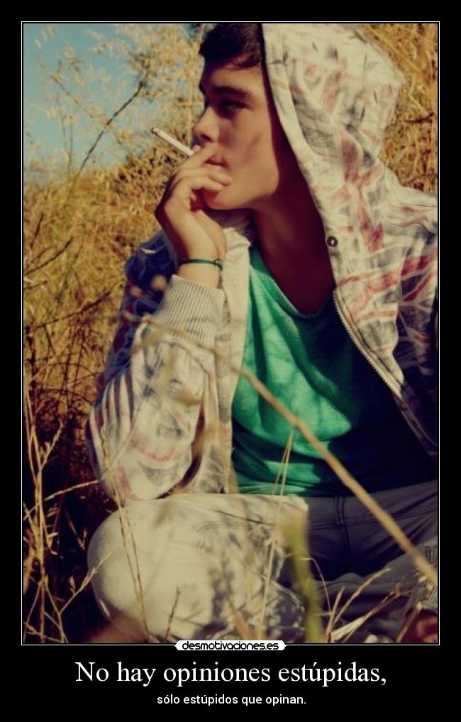 No hay opiniones estúpidas, - 