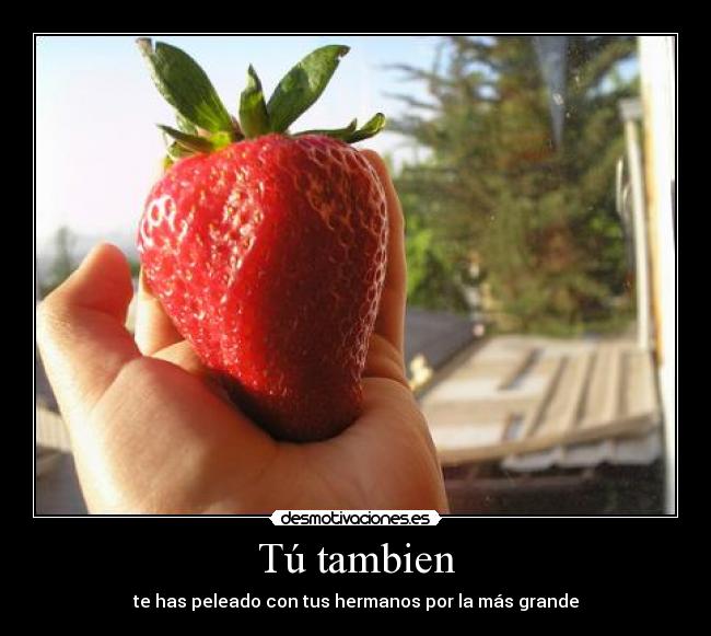 Tú tambien -