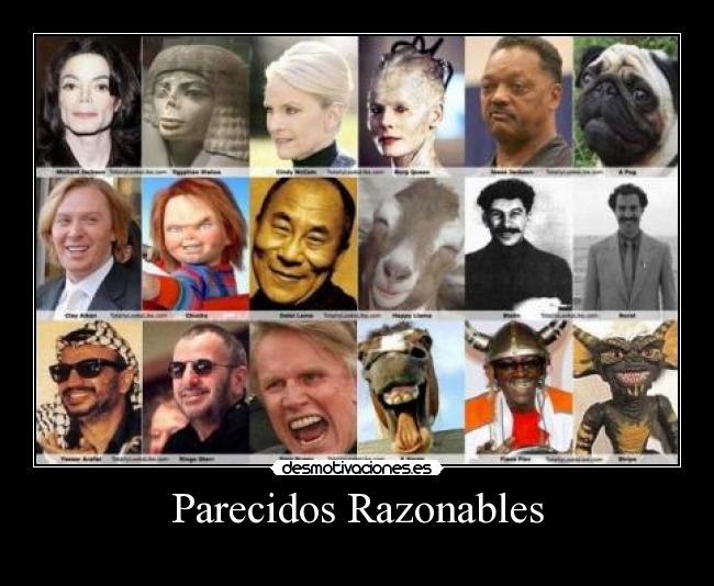 Parecidos Razonables - 
